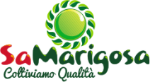 Sa Marigosa