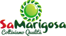 Sa Marigosa