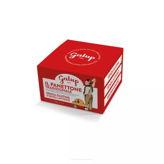 Panettone Tradycyjne 
