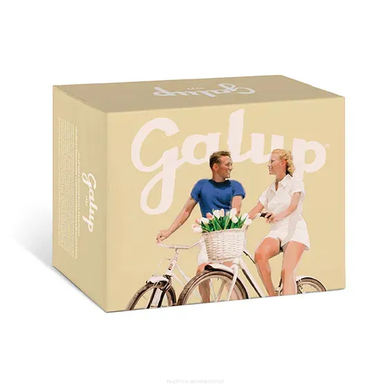 Babka Colomba Trzy Czekolady, 750g, Galup