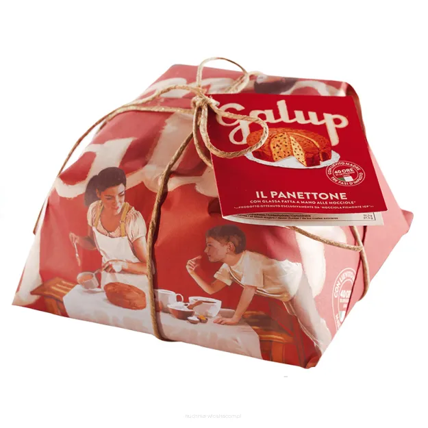 Panettone Tradizionale Galup 750g