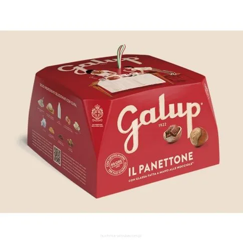 Panettone Tradizionale Galup karton 750g