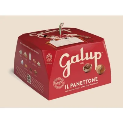 Panettone Tradizionale Galup karton 750g