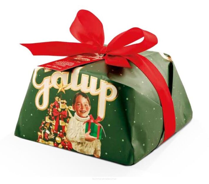 Panettone Tradycyjne Gran Galup 750g