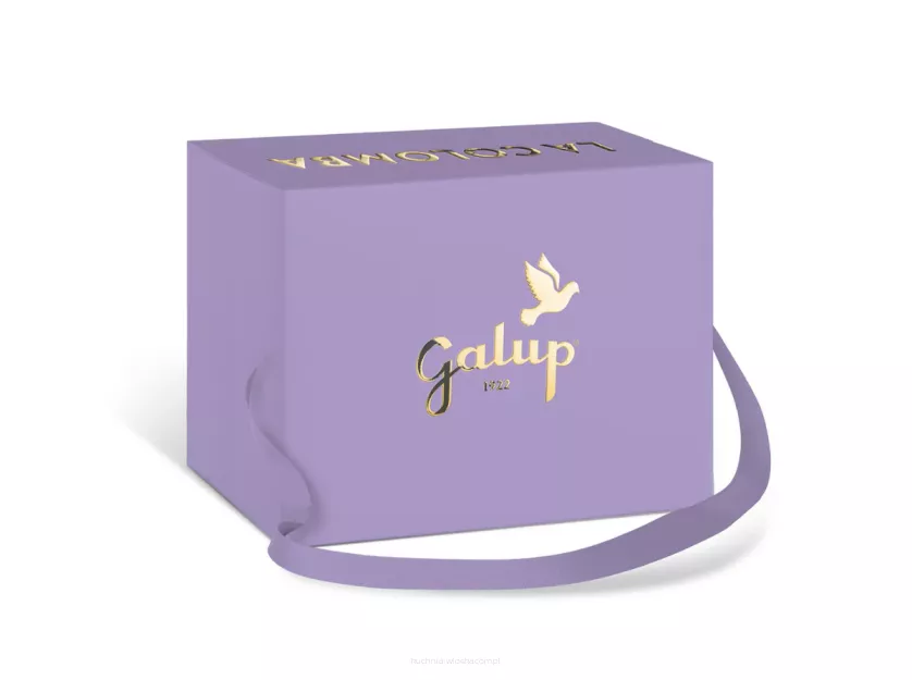 Babka colomba Maliny i Ciemna Czekolada, Galup 750g