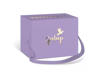 Babka colomba Maliny i Ciemna Czekolada, Galup 750g