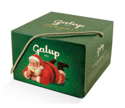 Panettone "Maliny i Czekolada" Galup, 750g