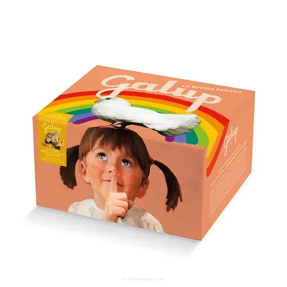 Babka Colomba Brzoskwinie, Czekolada i Amaretti, 750g, Galup