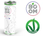 NaturalBOOM® - multifunkcjonalny Mental Drink z adaptogenami, zieloną herbatą i imbirem 250ml, puszka