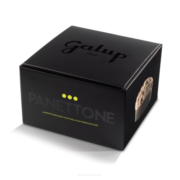 Panettone Wiśnie i Czekolada, 750g