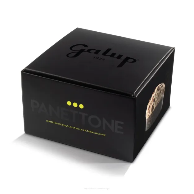 Panettone Wiśnie i Czekolada, 750g