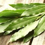 Ekologiczne Liście laurowe 20g