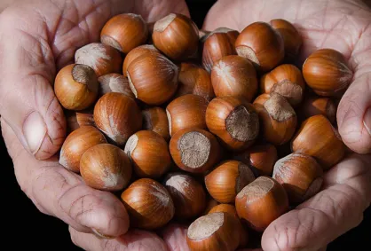 Czym wyróżniają się orzechy laskowe z Piemontu? I co to jest oznaczenie IGP?